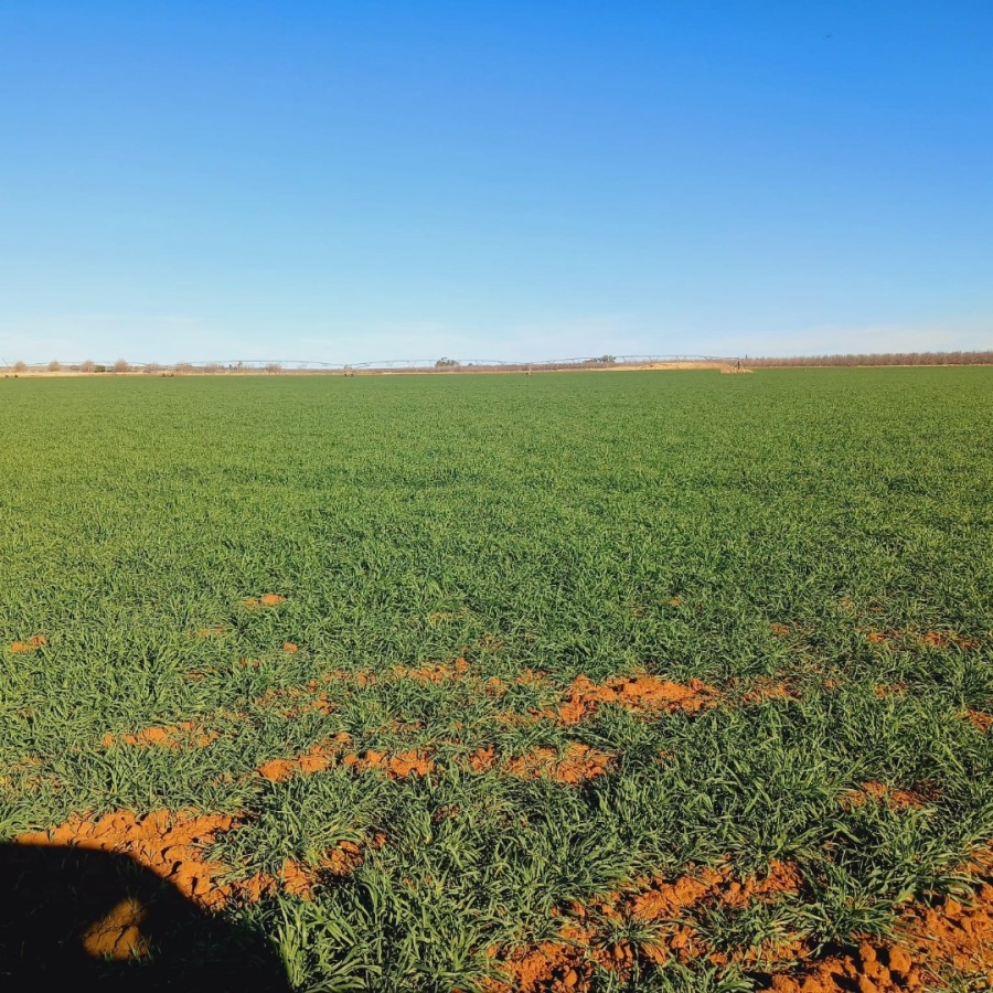  Bedroom Property for Sale in Barkly West Rural Northern Cape